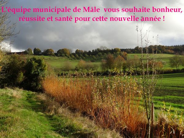 voeux-2015-copie-1.jpg