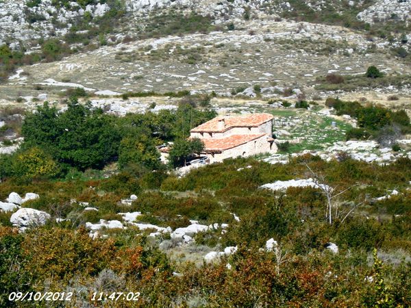 CIPIERES-PLATEAU-DE-CALERN 4371