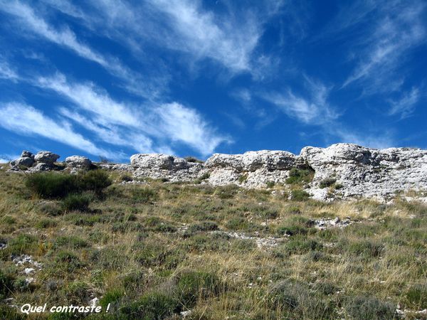 CIPIERES-PLATEAU-DE-CALERN 4375