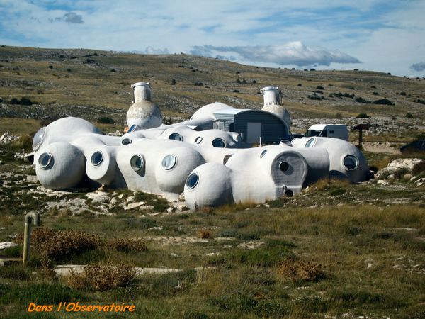 CIPIERES-PLATEAU-DE-CALERN 4394