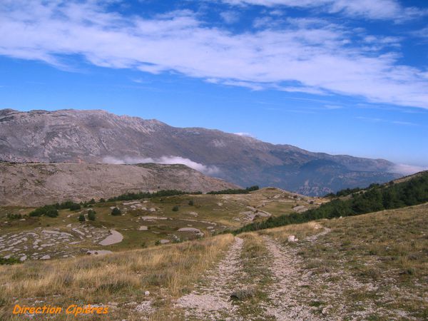 CIPIERES-PLATEAU-DE-CALERN 4405