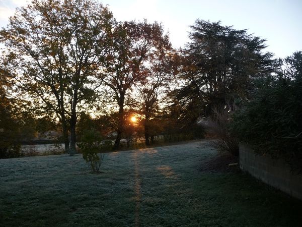 PHOTOS DECEMBRE 2012 032