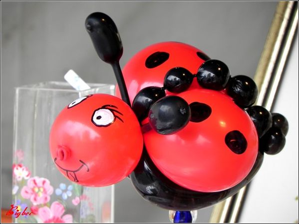 Coccinelle ballons