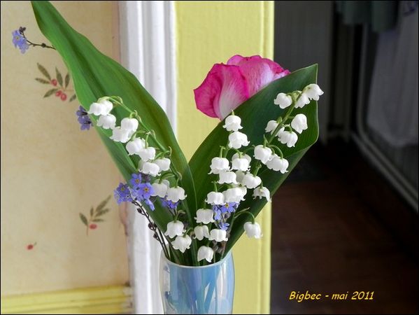 Muguet 2011 - 2