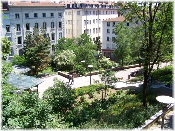 pentes-croix-rouuse-place-croix-paquet.jpg
