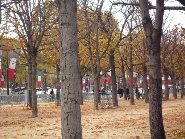 Jardins des Champs-Elysées - 10 novembre