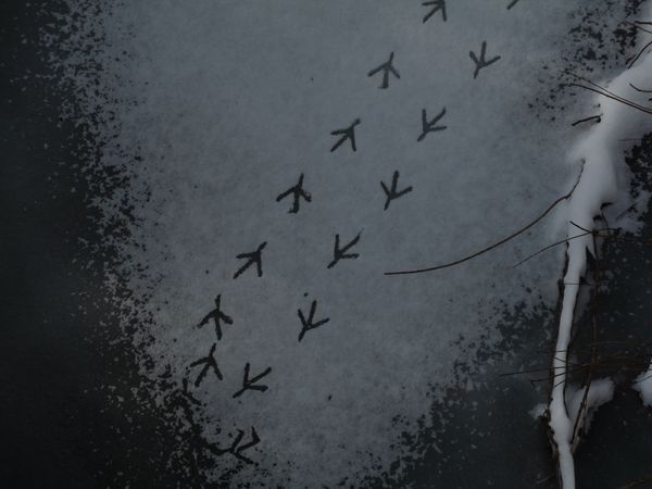 demi-tour-gauch-blog.jpg