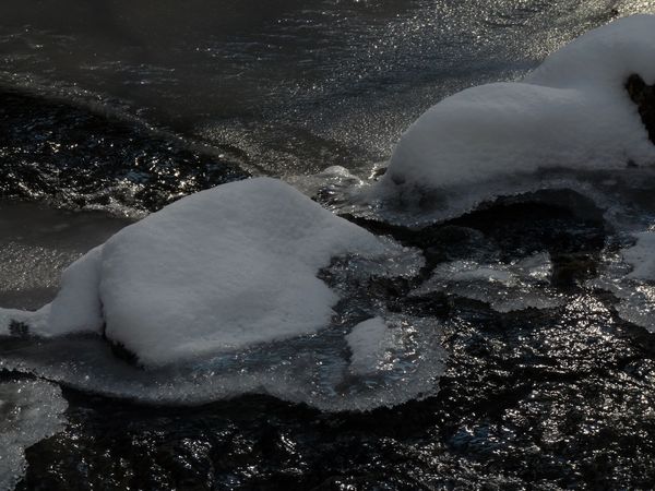 iceberg blog