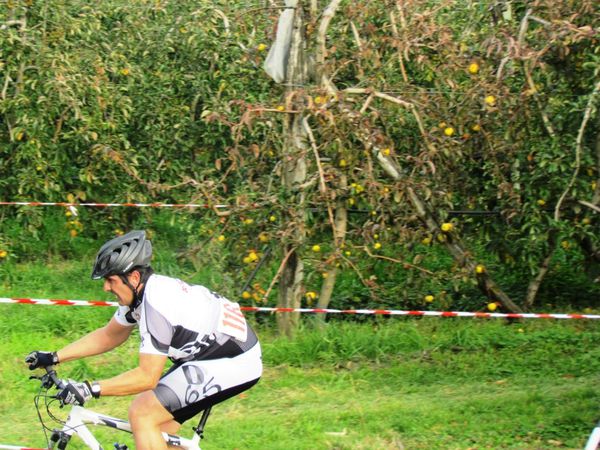 a-louresbarousse2011 1600