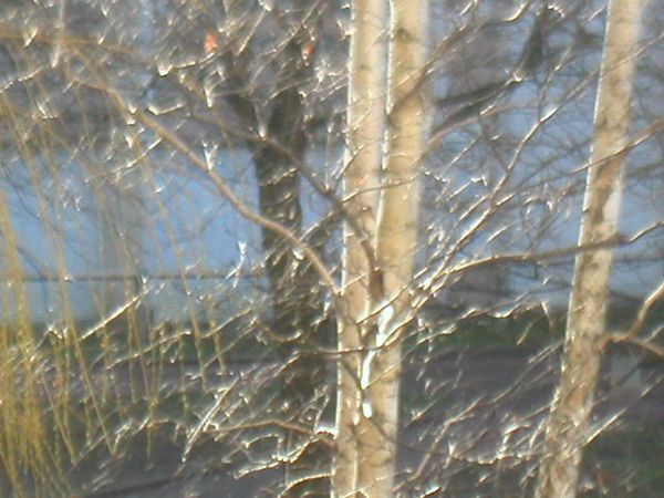 photo-michel-012.jpg