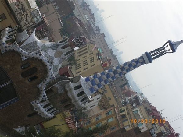 IMGP4649