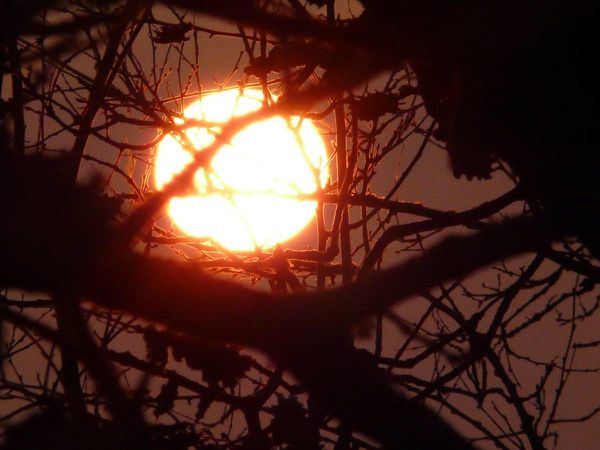Lever soleil-19-12-2009-02
