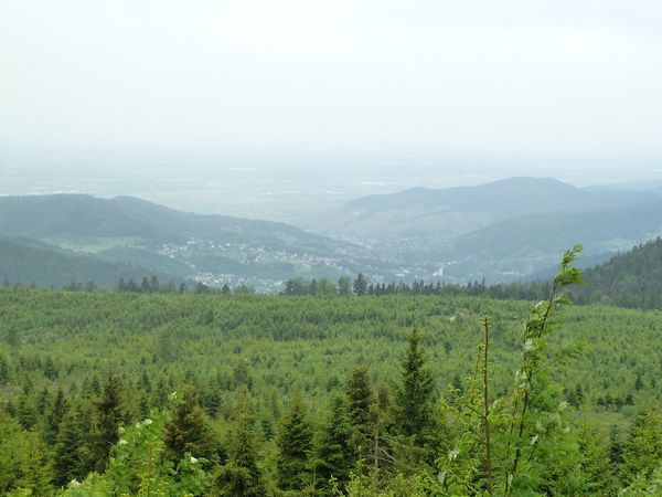 Panorama Hochkopf 1