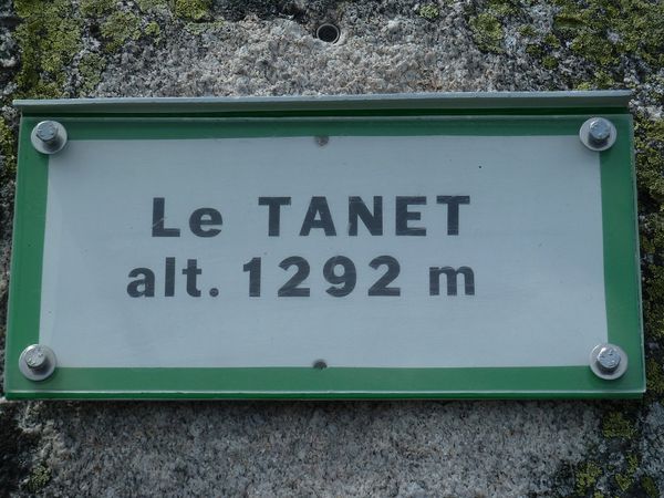 TANET 35