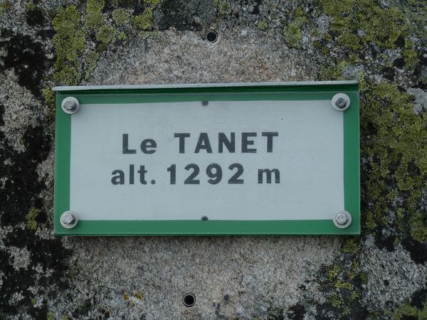 TANET 80
