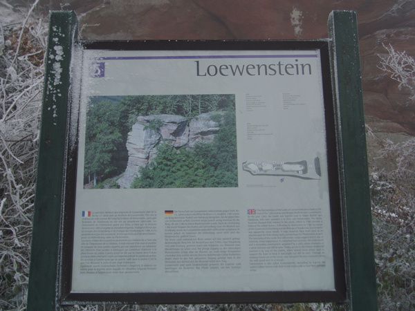 Loewenstein 03
