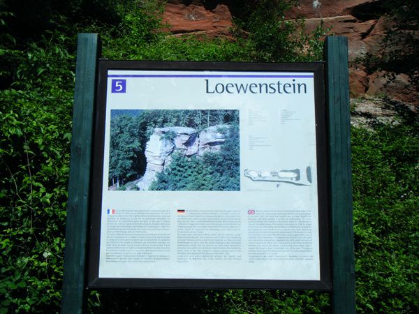 Loewenstein 28