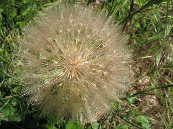 3-mai.2011-004.jpg