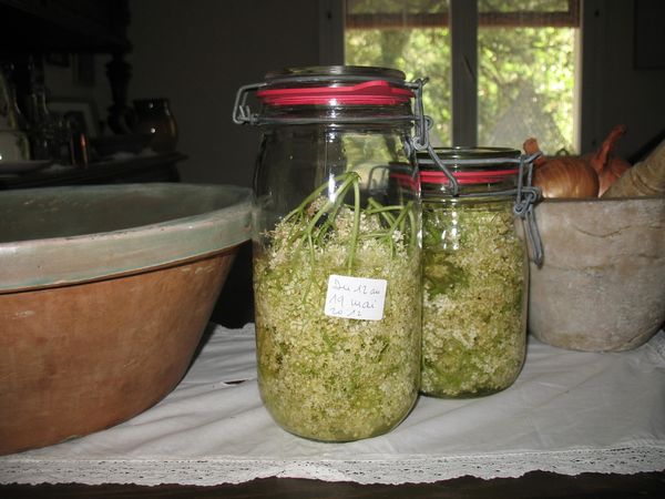 12.5.12-005.jpg