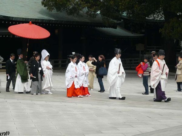 42_T-ky-_Harajuku_Yoyogi-koen_Meiji-jingu--8-.jpg