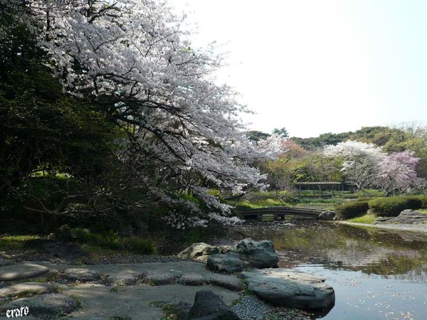 64_T-ky-_Shiyoda_Imperial-Palace_K-kyo-Higashi-gyoen--43-.jpg