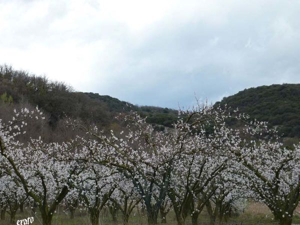 P1000905.JPG