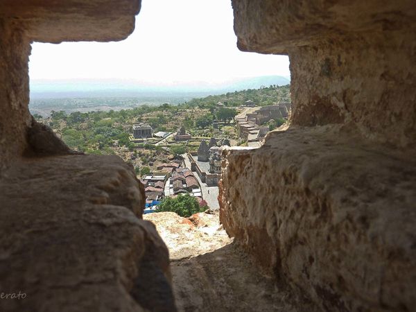 P1100365a.jpg