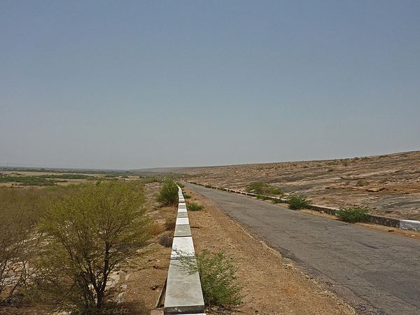 P1100675a.jpg
