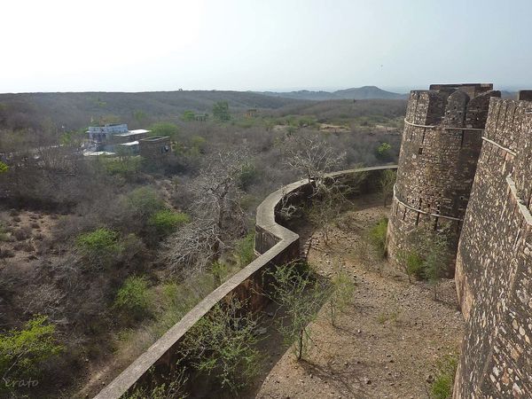 P1100797a.jpg