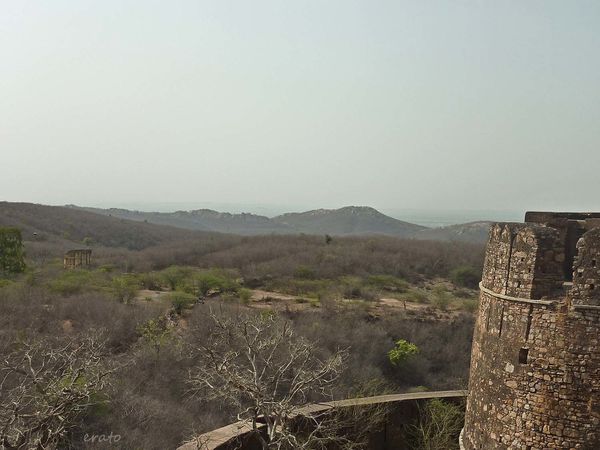 P1100800a.jpg