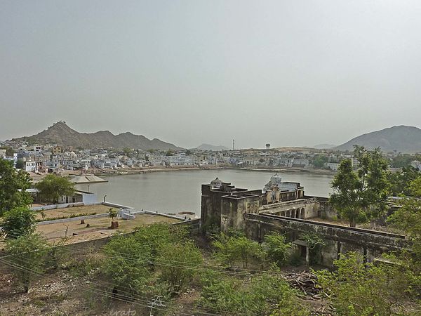 P1100829a.jpg