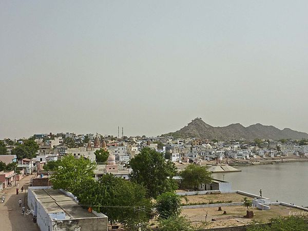 P1100830a.jpg