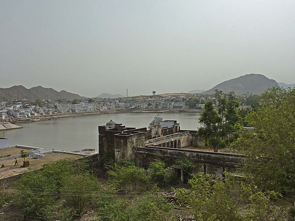 P1100832a.jpg