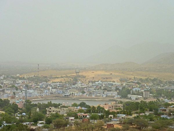 P1100849a.jpg