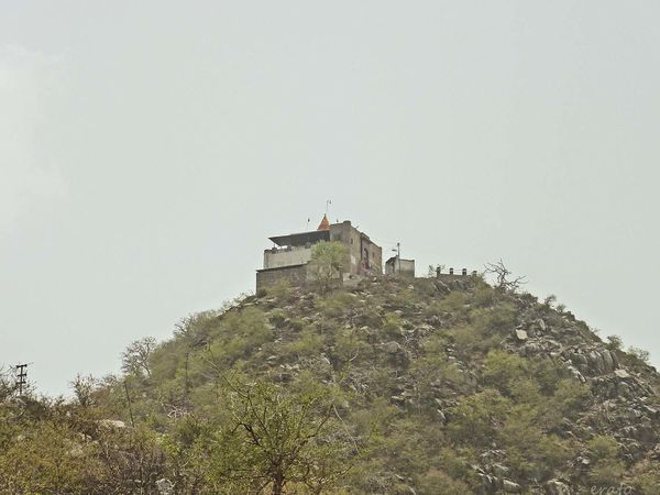 P1100851a.jpg