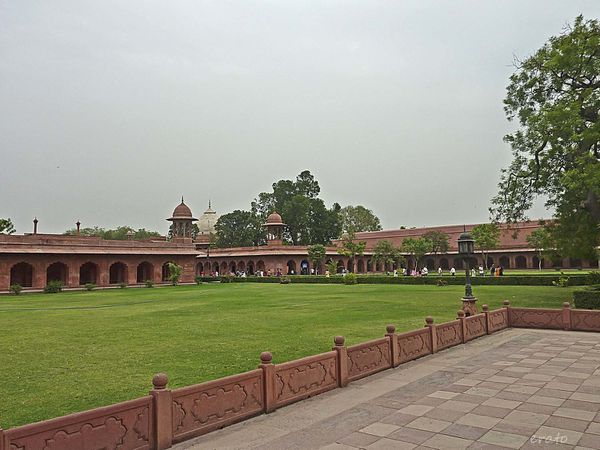 P1100922a.jpg