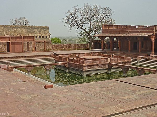 P1100959a.jpg
