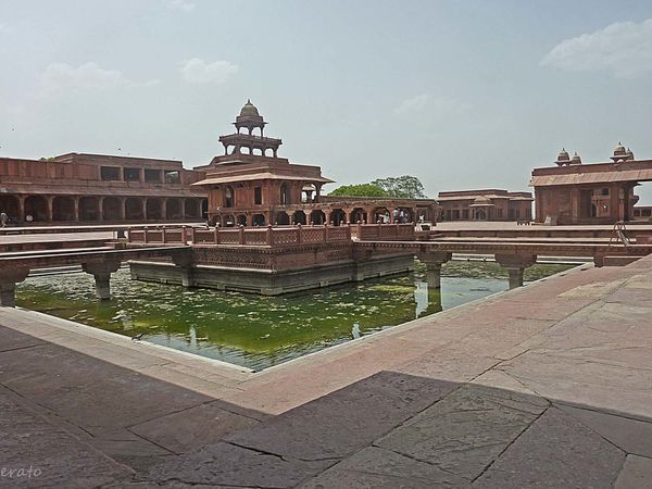 P1100967a.jpg
