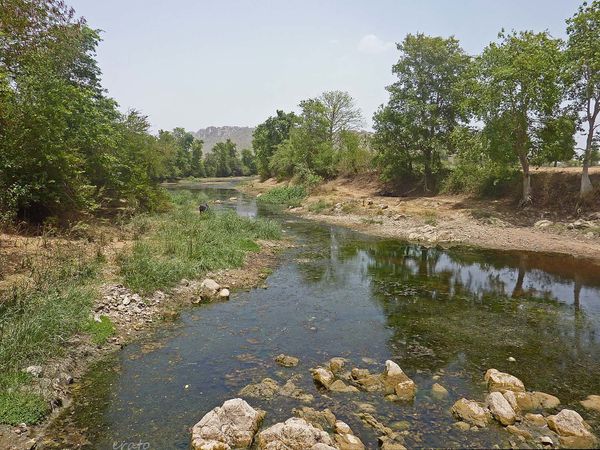 P1110230a.jpg