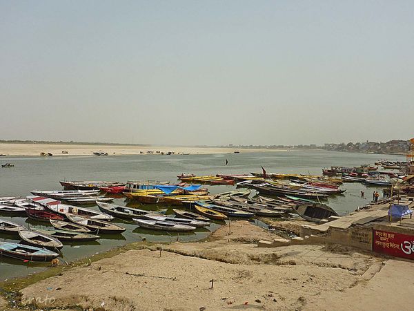 P1110240a.jpg