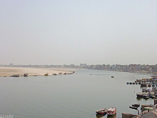 P1110259a.jpg