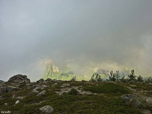 P1120617a.jpg