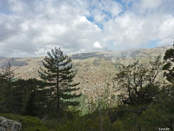 P1120624a.jpg