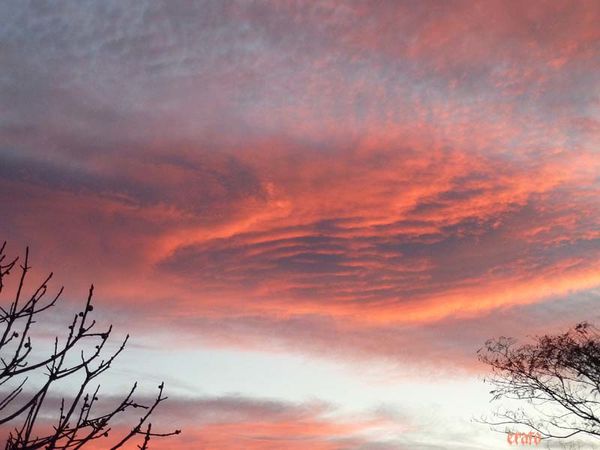 ciel-rouge-du-soir-004.jpg