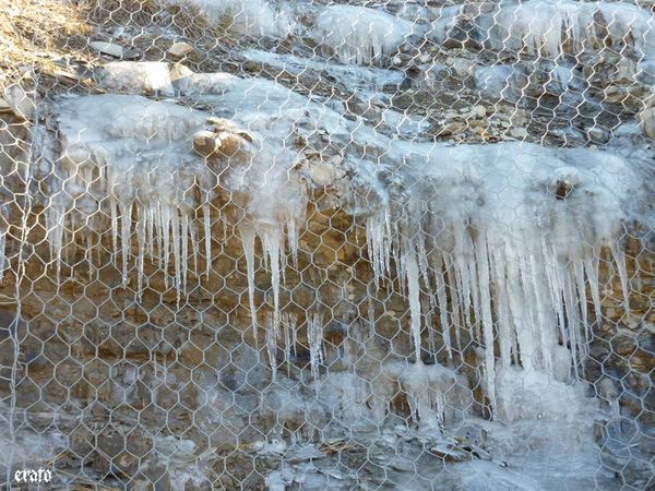 glace-18---12---2010-021a.jpg