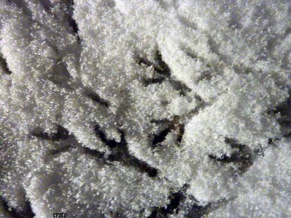 neige-empreintes-006.JPG