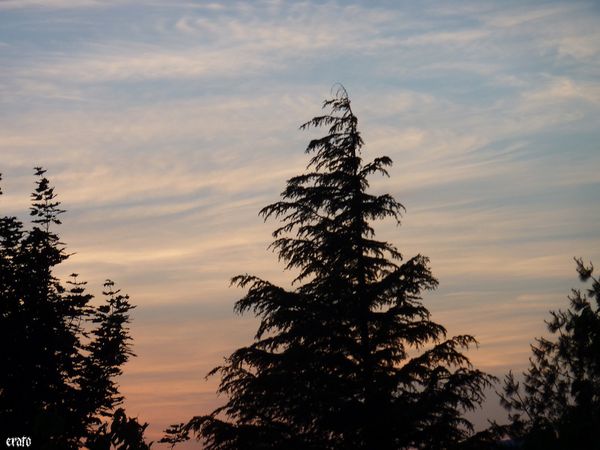 4-mai-2011--coucher-de-soleil-006.JPG