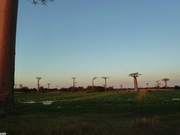 P1050394-a.jpg