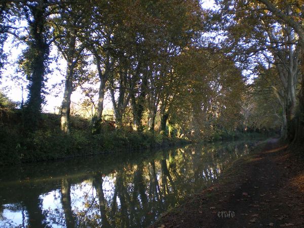 01nov.2011-Dorine-049a.jpg