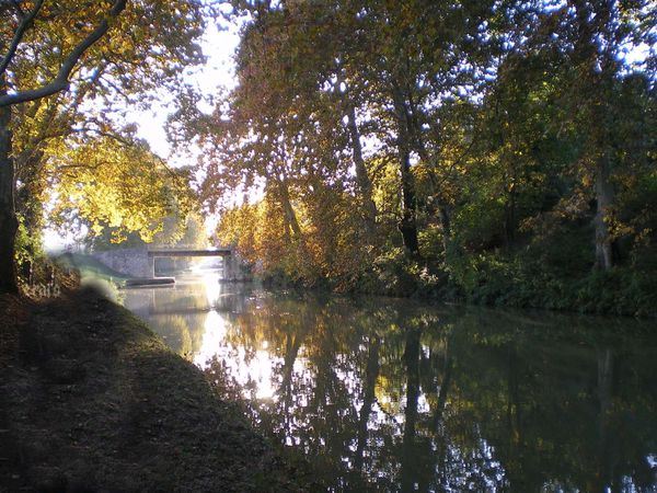 01nov.2011-Dorine-053a.jpg
